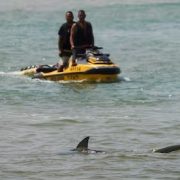 (Video) ¡Me está mordiendo! últimas palabras de un hombre al ser tacado por un tiburón