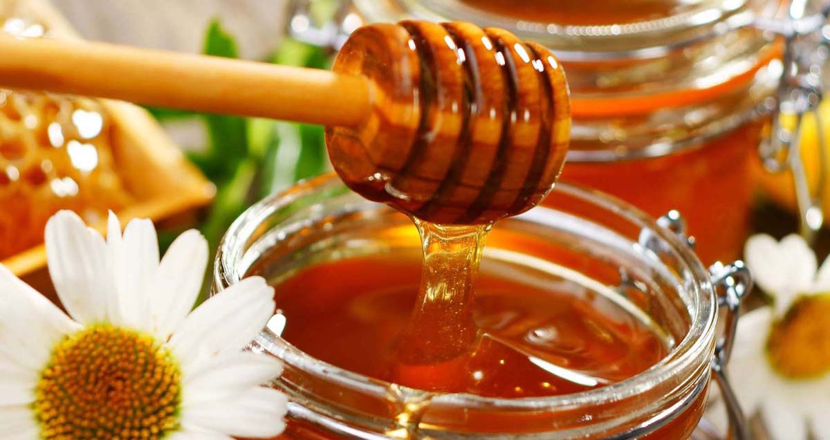 ¿Por Qué Elegir Miel Natural?