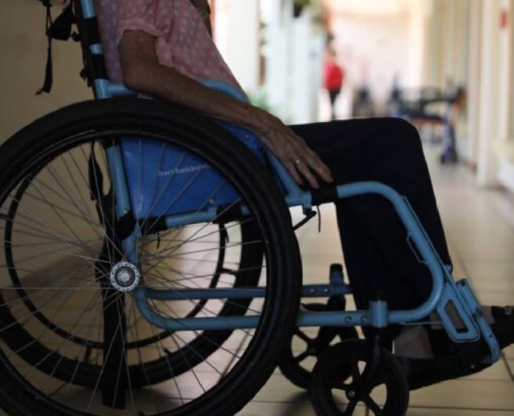 ¡Alerta! Primer caso de gusano barredor en México confirmado en Chiapas