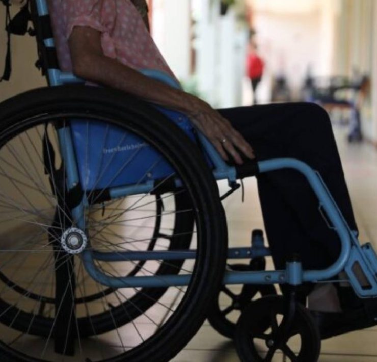 ¡Alerta! Primer caso de gusano barredor en México confirmado en Chiapas