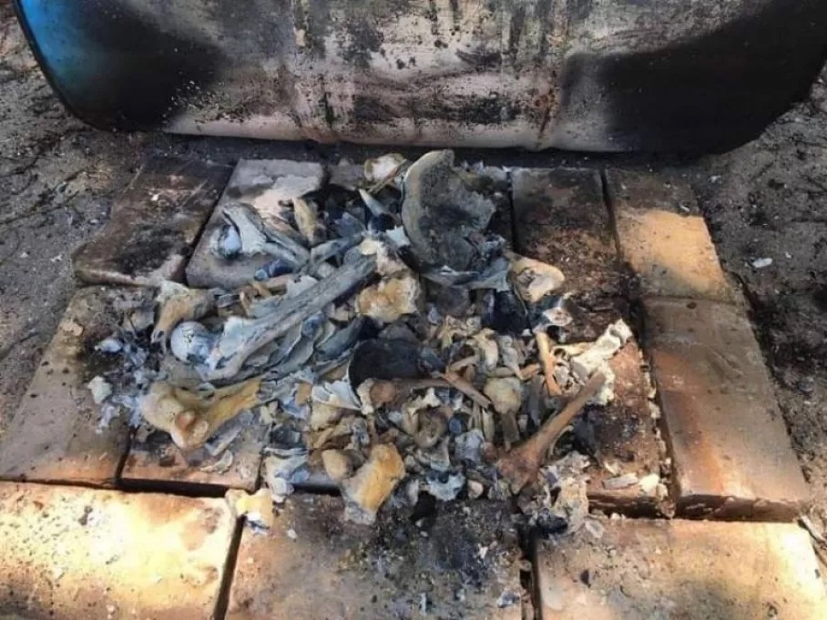 Comparecen exfuncionarios acusados de exhumación clandestina