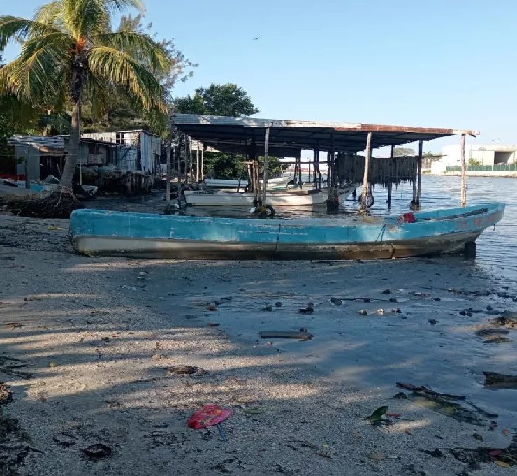 La pesca ribereña ha caído en un 70 por ciento