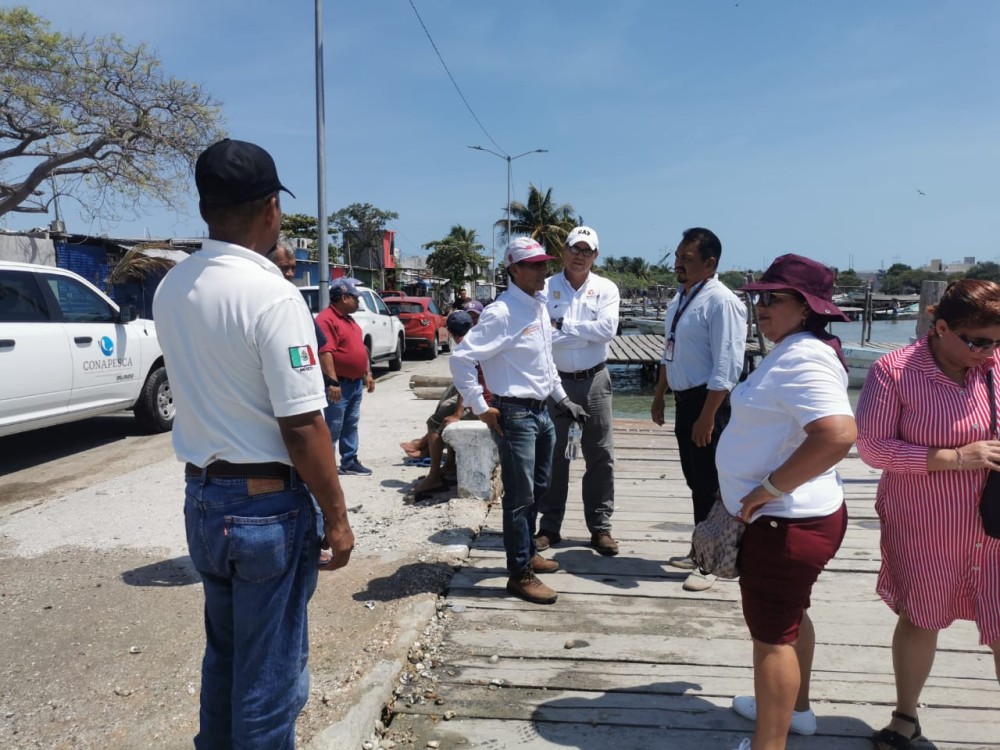 Realizan estudios previos para desazolvar arroyos