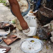 ¡Fuera Moscos! Campaña “Mi hogar sin criaderos de moscos” llega a Mérida