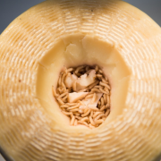Casu Marzu un queso con gusanos que está prohibido pero todos quieren probar
