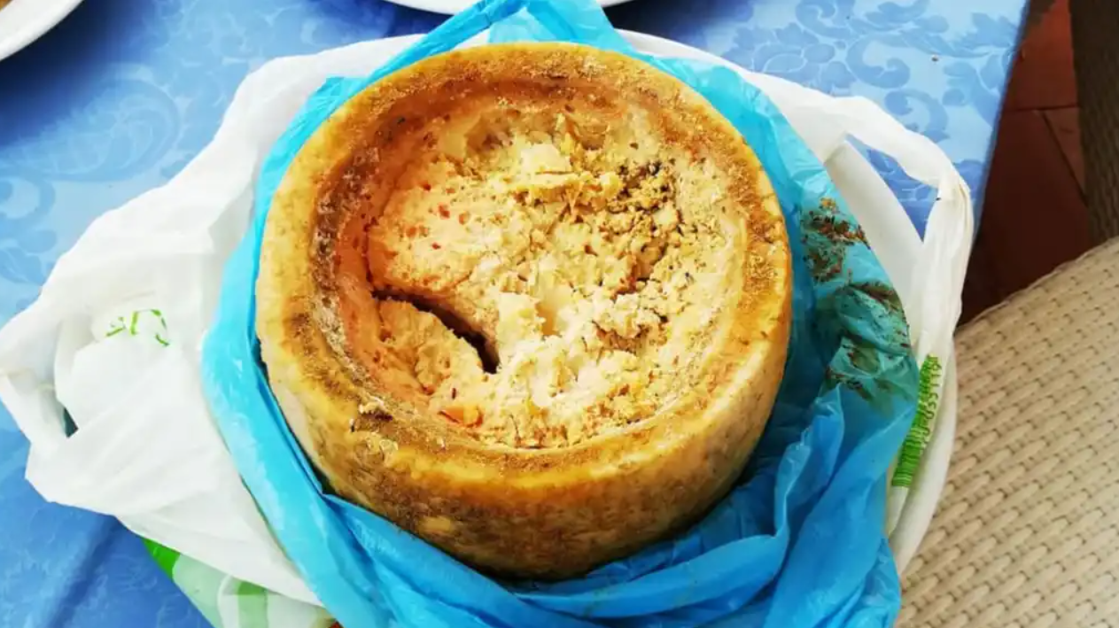 ¿Qué es exactamente el Casu Marzu un queso con gusanos?
