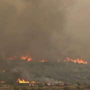 Incendios devastadores en Jerusalén: imágenes impactantes y evacuaciones masivas