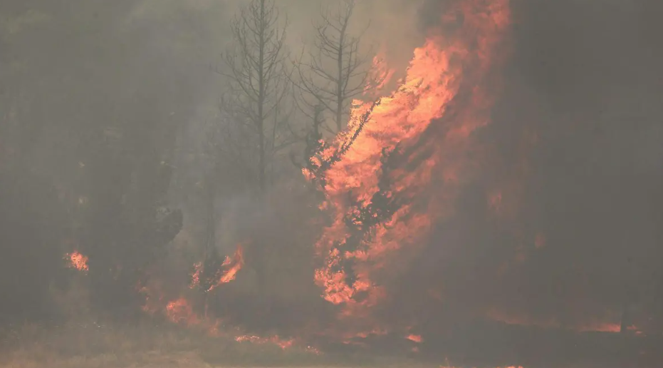 Condiciones climáticas empeoran los incendios devastadores en Jerusalén