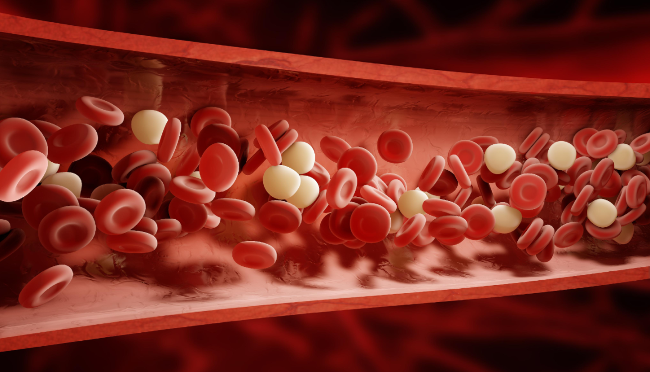 ¿Qué significa que una bacteria vuelve la sangre en donante?