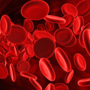 Bacteria vuelve la sangre en donante universal: El hallazgo que cambiará la medicina