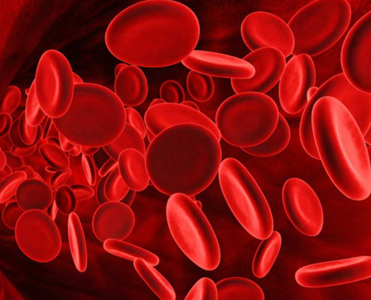 Bacteria vuelve la sangre en donante universal: El hallazgo que cambiará la medicina