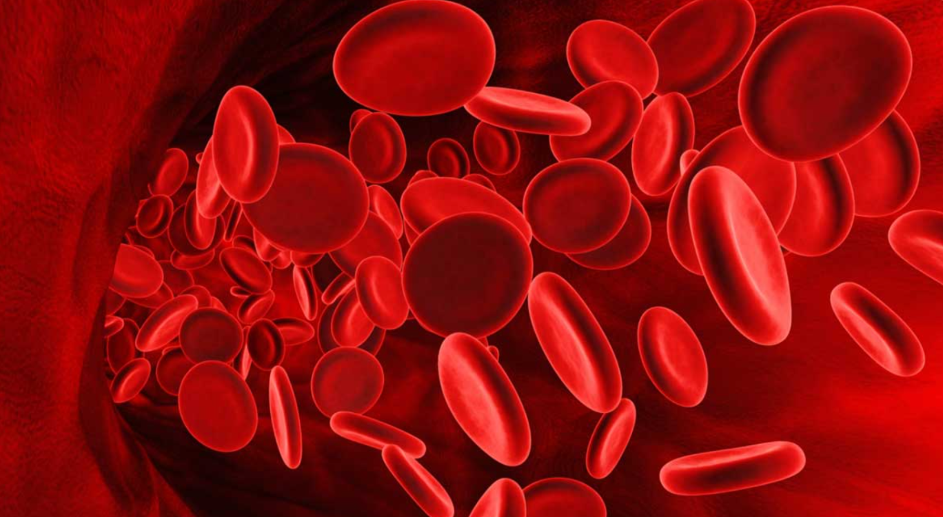 Bacteria vuelve la sangre en donante universal: El hallazgo que cambiará la medicina