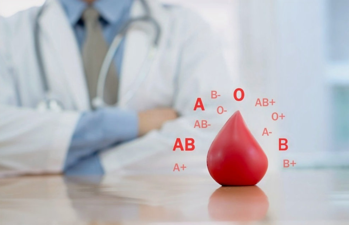 ¿Qué sigue para este descubrimiento?