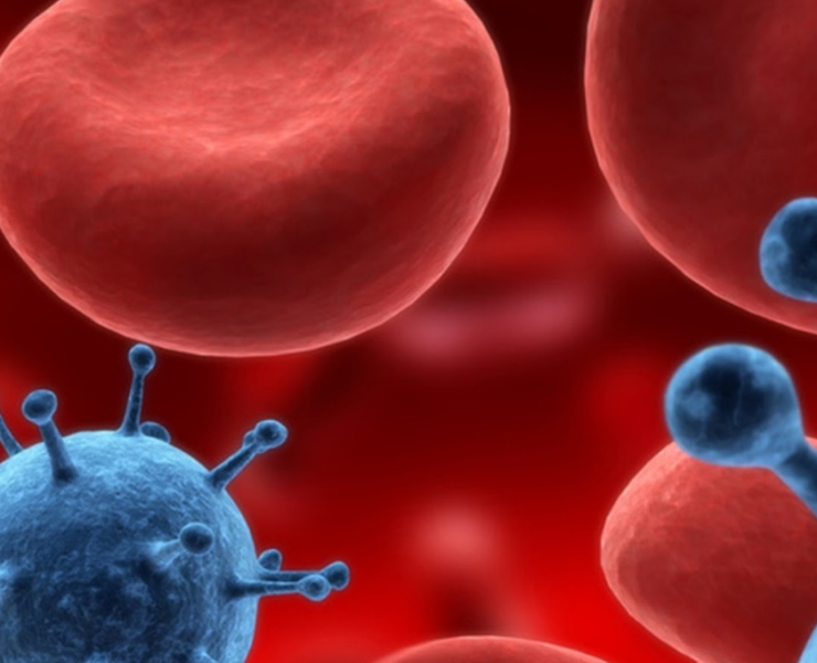 ¡Alerta epidemiológica en Ecuador! Brotes de tos ferina y fiebre amarilla preocupan al país