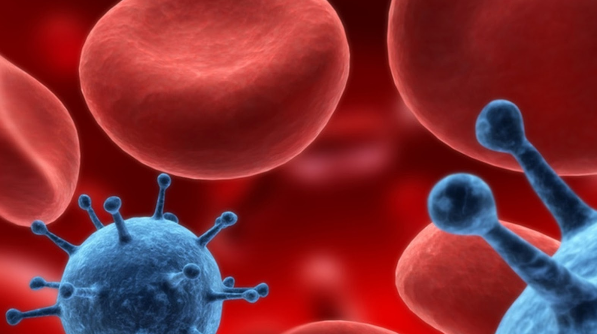 ¡Alerta epidemiológica en Ecuador! Brotes de tos ferina y fiebre amarilla preocupan al país