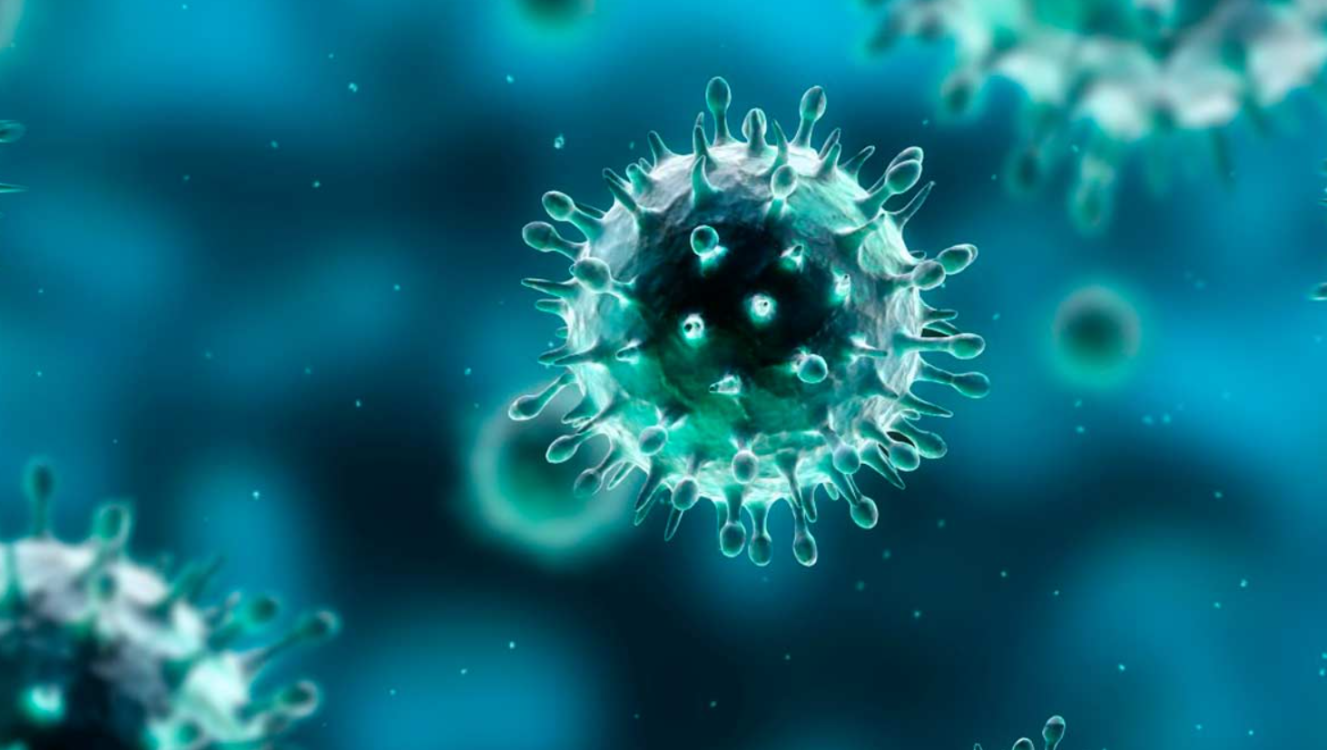 ¿Qué puedes hacer para protegerte?