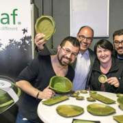 ¡Crean vajilla biodegradable que se descompone en 28 días!