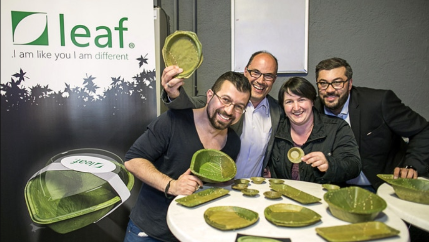 ¡Crean vajilla biodegradable que se descompone en 28 días!
