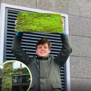 Crean bio-hormigón en el que crece musgo: ¡La nueva piel verde de las ciudades!