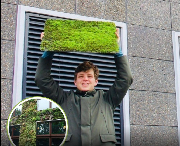 Crean bio-hormigón en el que crece musgo: ¡La nueva piel verde de las ciudades!