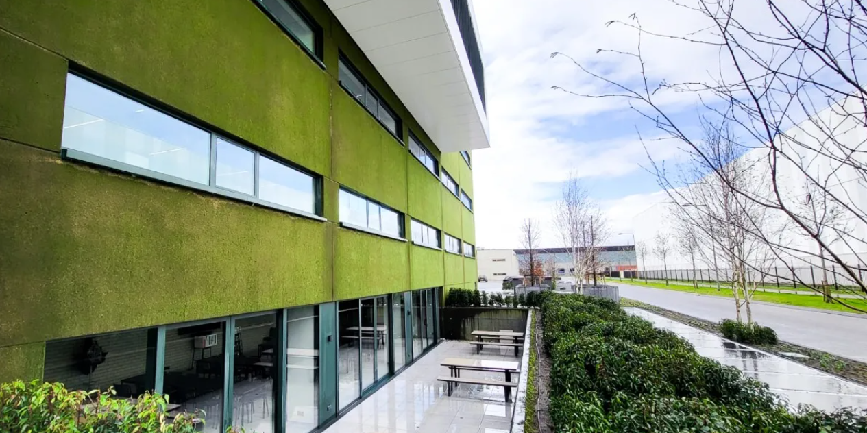 Crean bio-hormigón en el que crece musgo para transformar las ciudades