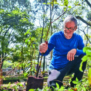 Hombre siembra 40000 árboles en Brasil y transforma un basurero en un bosque urbano
