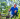Hombre siembra 40000 árboles en Brasil y transforma un basurero en un bosque urbano
