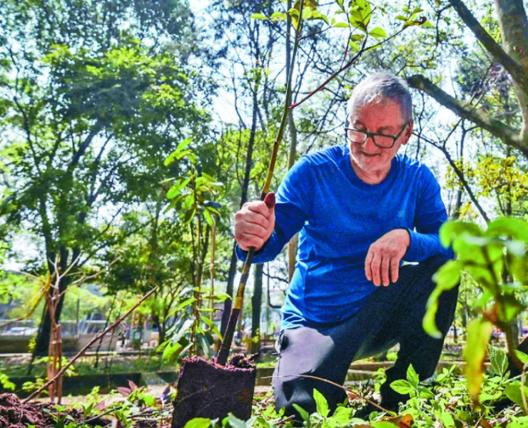 Hombre siembra 40000 árboles en Brasil y transforma un basurero en un bosque urbano