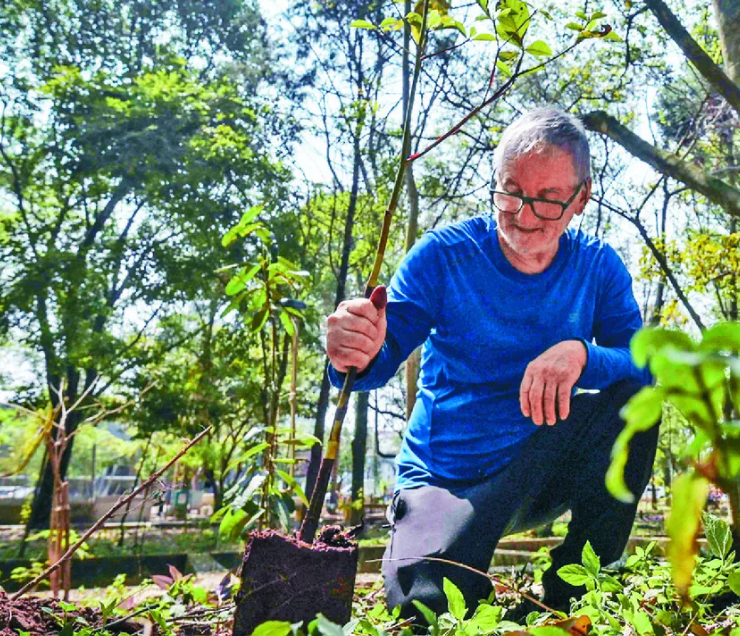 Hombre siembra 40000 árboles en Brasil y transforma un basurero en un bosque urbano