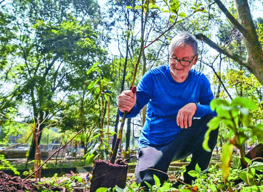 Hombre siembra 40000 árboles en Brasil y transforma un basurero en un bosque urbano