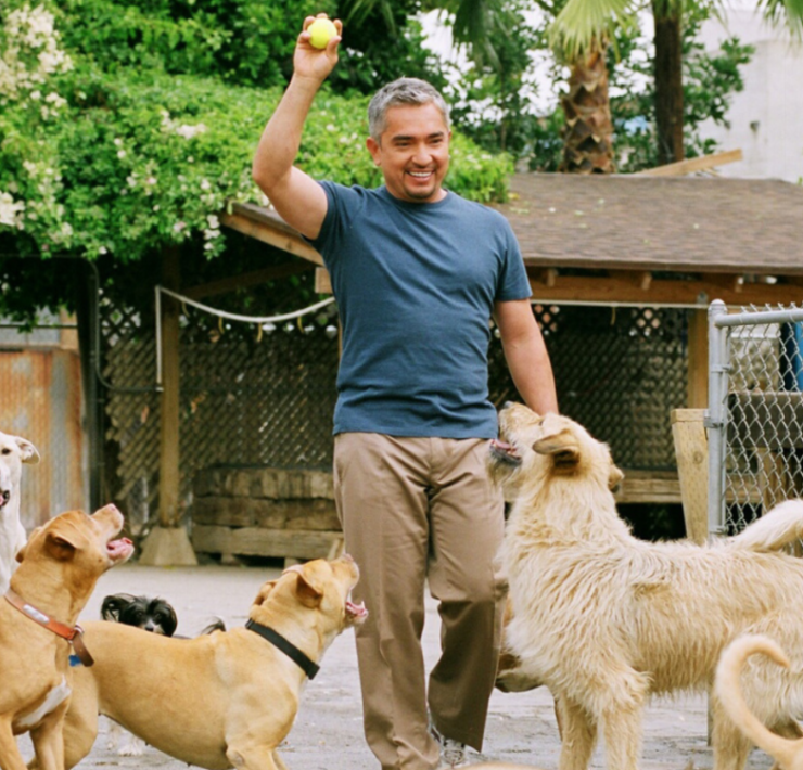 ¿Qué fue de César Millán? El encantador de perros que desapareció de la TV