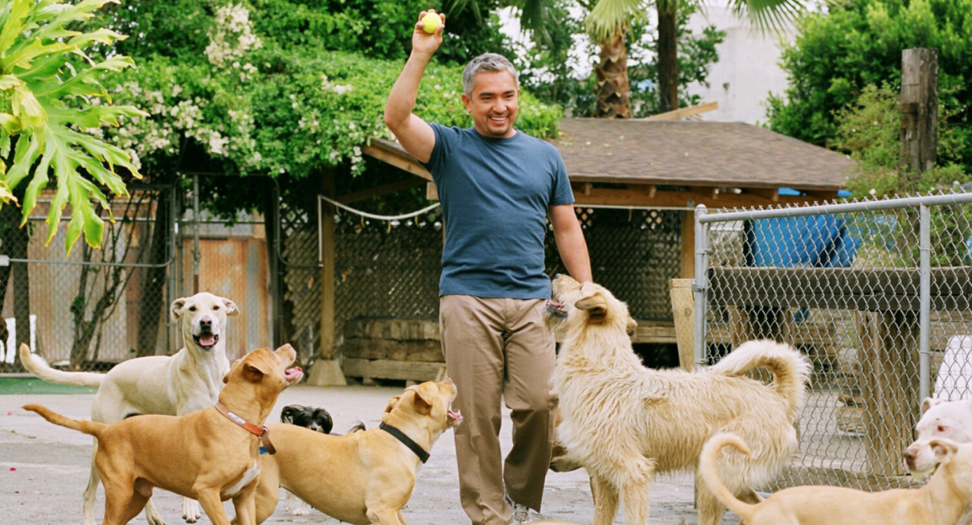 ¿Qué fue de César Millán? El encantador de perros que desapareció de la TV