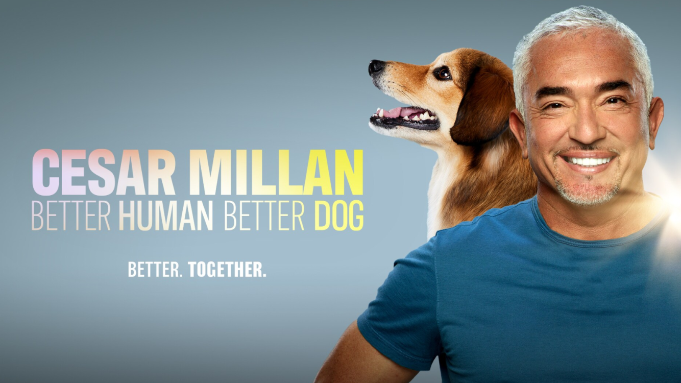 Better Human, Better Dog: El regreso en streaming