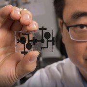 Crean una batería a base de bacterias la cual puede durar hasta una semana