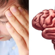 Nano robots para reparar aneurismas cerebrales desde adentro sin cirugía