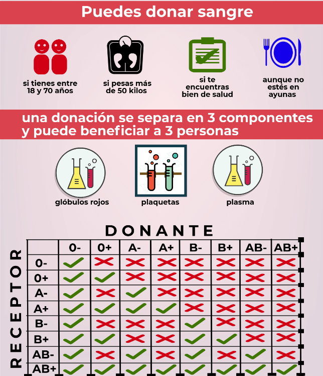 ¿Cómo funciona esta sangre sintética?