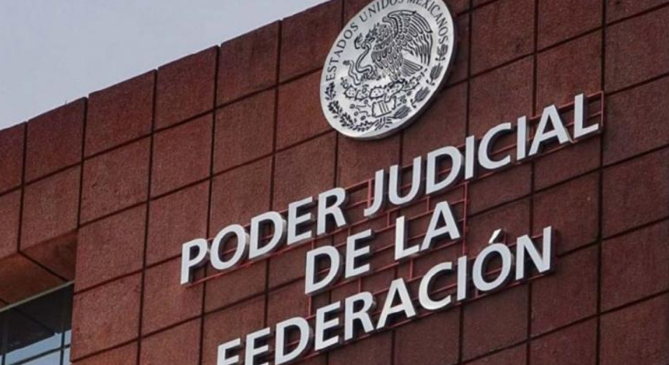 ¿Qué ve el Tribunal de Disciplina Judicial? Tareas y objetivos principales