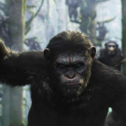 Chimpancés inventan forma de comunicación que recuerda al código morse