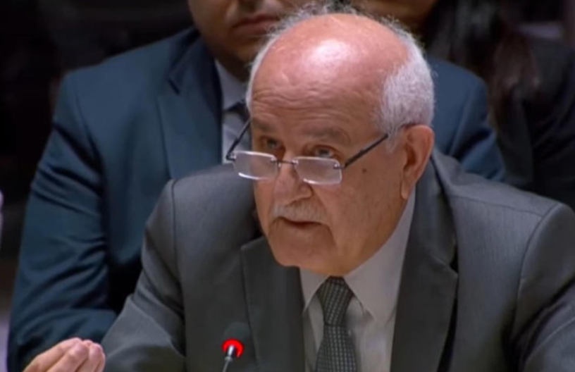 La ONU y la comunidad internacional frente al dolor palestino