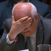 Embajador palestino rompe en llanto en plena reunión de la ONU