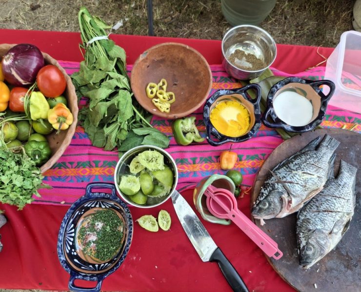 Celebran concurso gastronómico Del Río a tu Mesa