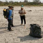 Recorren zona de anidación de charrán mínimo
