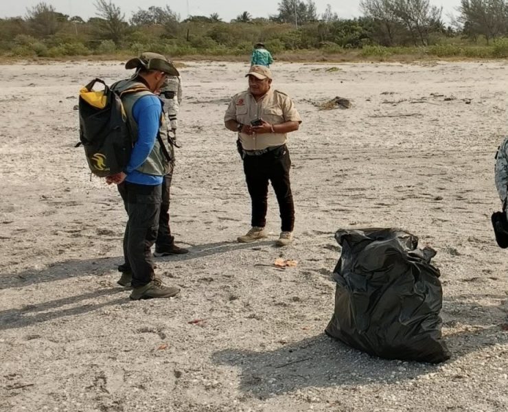 Recorren zona de anidación de charrán mínimo