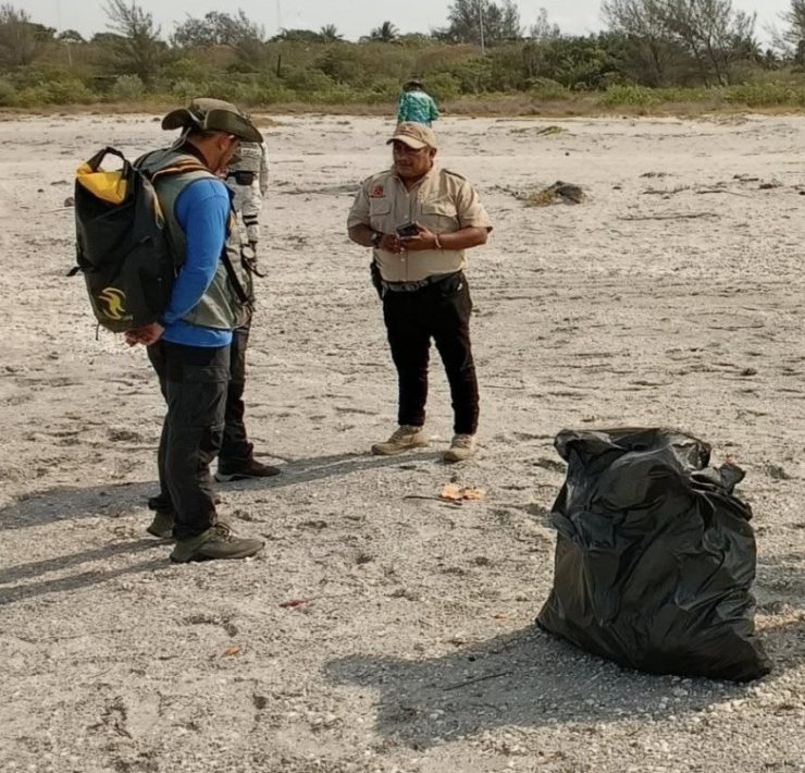 Recorren zona de anidación de charrán mínimo