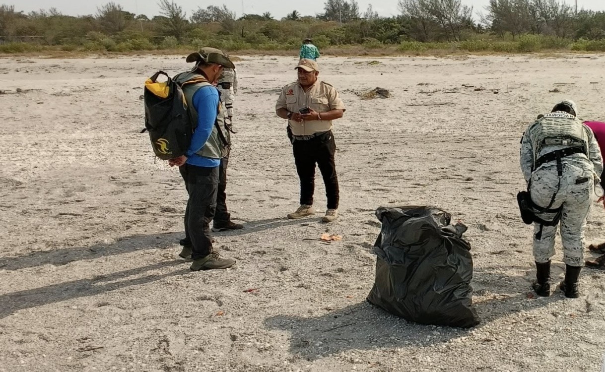 Recorren zona de anidación de charrán mínimo