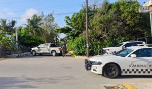 Sustancias como cocaína, cristal y marihuana fueron aseguradas en el predio cateado por las autoridades en Chelem.