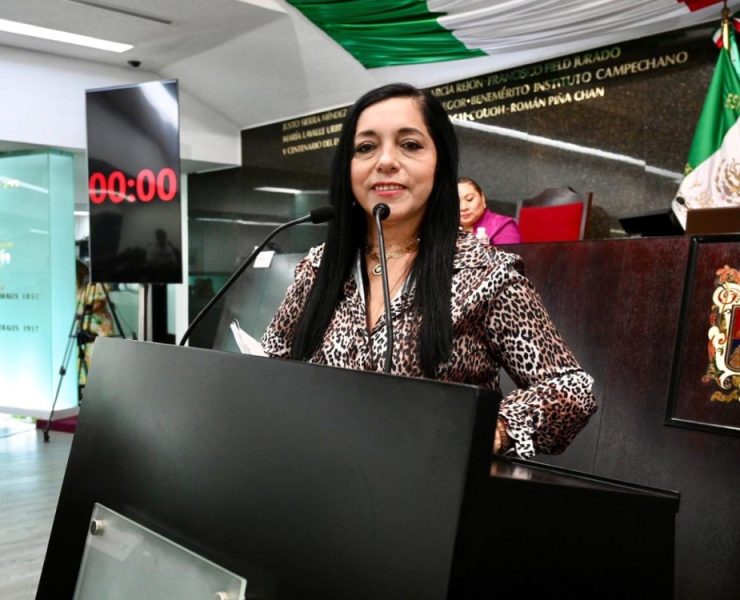 Critican a diputada Dalila Mata por decir que en Cuidad del Carmen no hay crisis