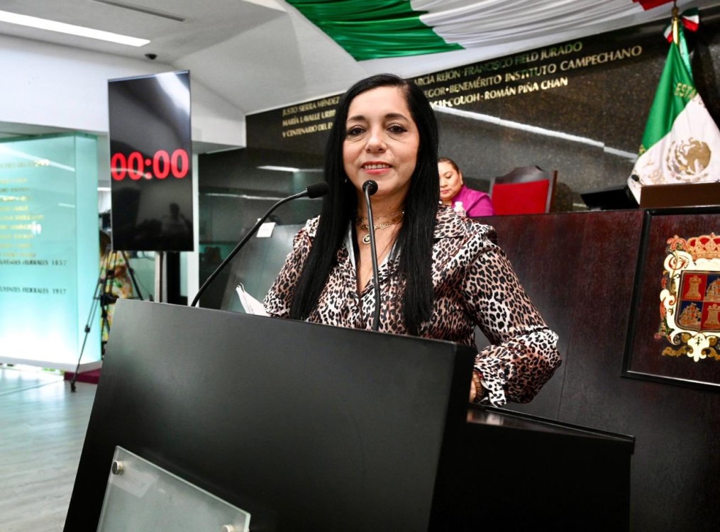 Critican a diputada Dalila Mata por decir que en Cuidad del Carmen no hay crisis