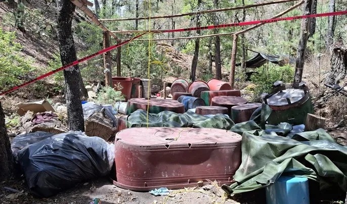 Continúa la batalla contra la delincuencia