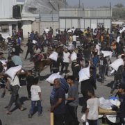 Cuatro palestinos mueren en Gaza